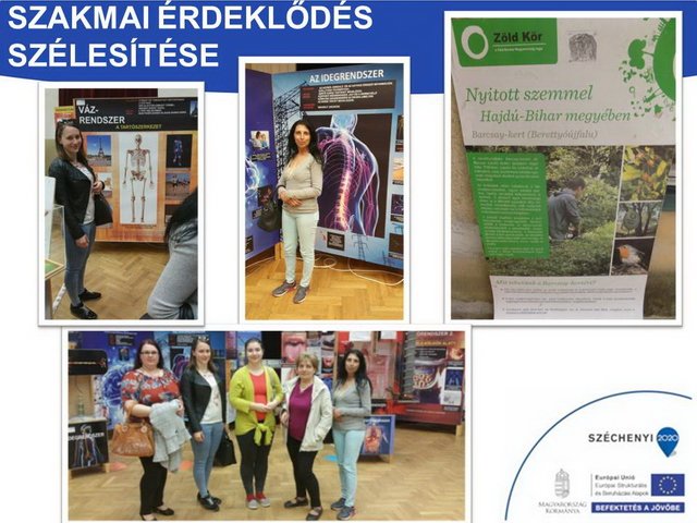 Az alapellátás és népegészségügy rendszerének átfogó fejlesztése berettyóújfalui térségben 29